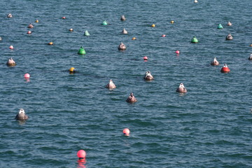 bouée,bouées,bretagne