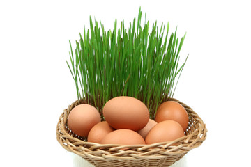 Easter and spring symbols - chicken eggs and green wheat shoots