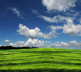 Fototapeta na wymiar Green field and white clouds