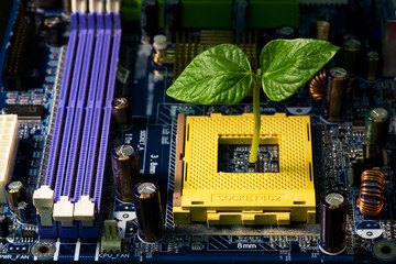Baby plant making the way through a computer's motherboard