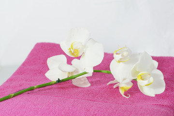 orchidée sur serviette de toilette