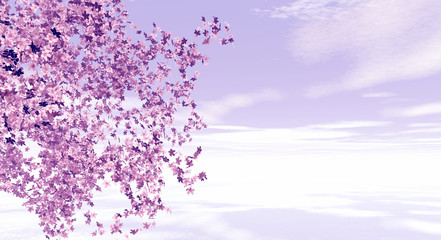 Obraz na płótnie Canvas Spring scene. Blossoming cherry trees