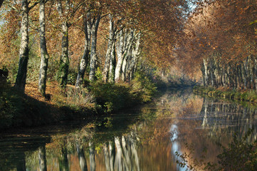 le canal du midi a l'automne