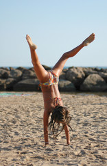 capriola in spiaggia