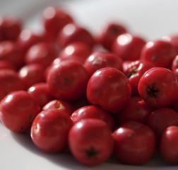 Red berries