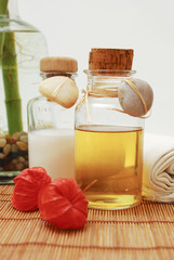 SPA accessories for wellness