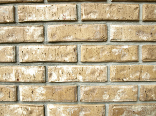 Fototapeta premium Brickwall background horizotal medium