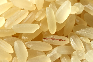 rice grains as background in macro shoot