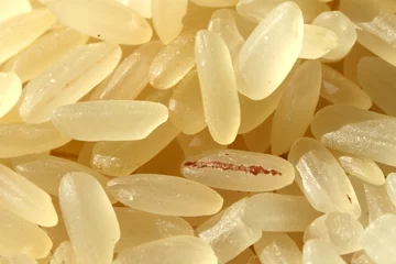 Deurstickers rice grains as background in macro shoot © Olexandr Kulichenko