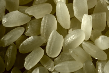 Fototapeta na wymiar rice grains as background in macro shoot
