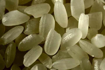 Foto op Plexiglas rice grains as background in macro shoot © Olexandr Kulichenko