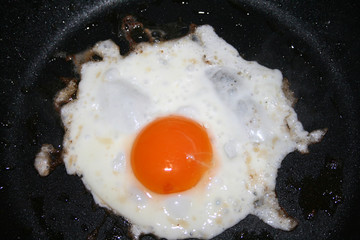 Fried Egg