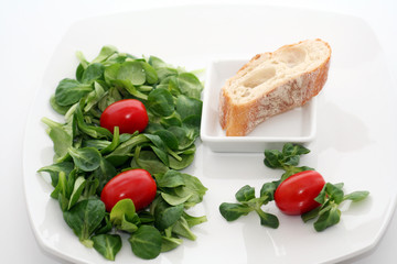 Feldsalat