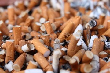 Plenty of cigarette butts. Close up view