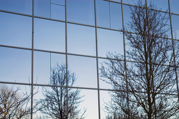 modern trees mirrored in glass office building