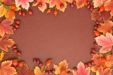 autumn frame