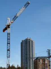 crane and building 6