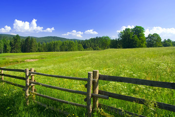 Photo of meadow with fence in sunny day.