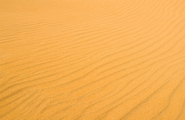 rippled sand texture.