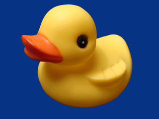 duckie with blue ground