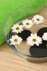 Obraz na płótnie Canvas bowl of water with daisy flowers and towel