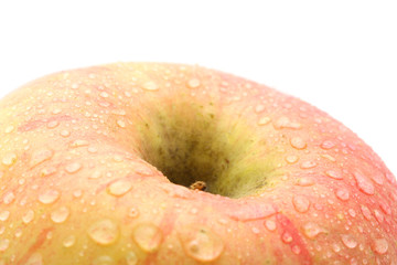 Apple. macro