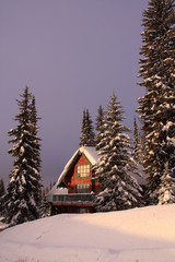 Typical Silver Star Accommodation nestled into the woods