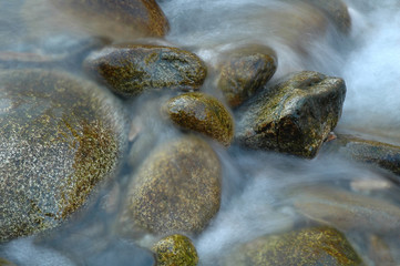 les petits galets de la riviere