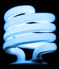 Blue Fluorescent Bulb