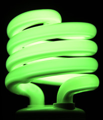 Green Fluorescent Bulb