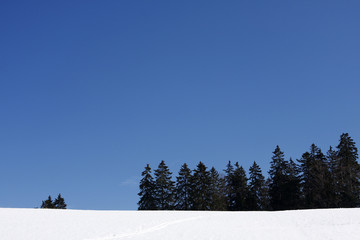 Winter Background with lots of copyspace