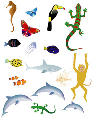 Vector bases illustration of various animals on white background