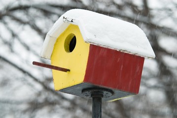 Shelter in snowstorm