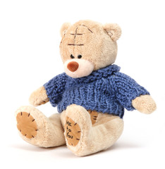 teddy bear on white background
