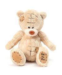 teddy bear on white background