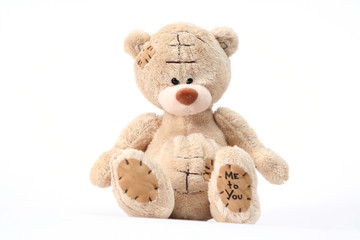 teddy bear on white background