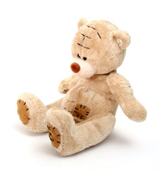 teddy bear on white background