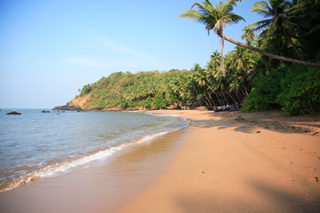 Typical beach in Goa India.