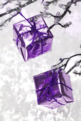 violet gift boxes on branch
