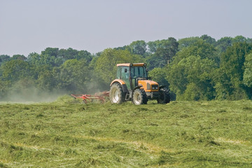 tractor cutting hay in spring © david hughes