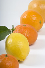 Agrumes et vitamines