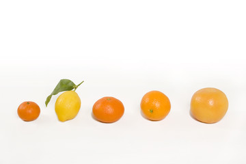 Agrumes et vitamines