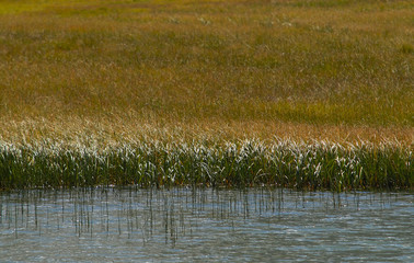 River bank background