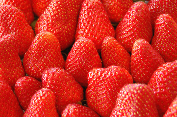 0,5 kg Erdbeeren