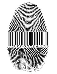 identidade © António Duarte