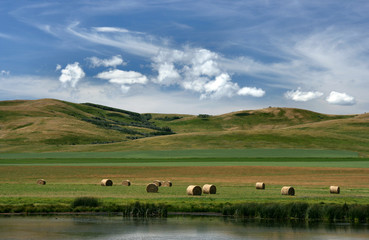 Fototapeta na wymiar Prairie landscape of Canada. Pastures and meadows of Alberta.