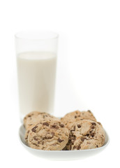 chocolate chip cookies