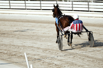 Harness racing