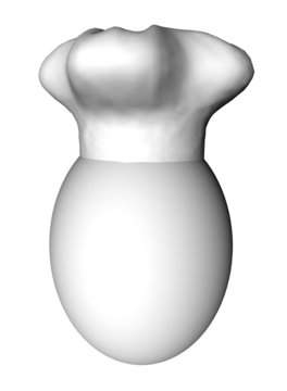 Render of an egg wearing a white chef hat