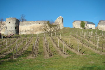 Fototapeta na wymiar Chateau de Coucy-le-Chateau,Aisne,Picardie